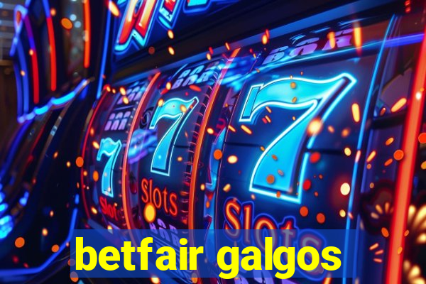 betfair galgos